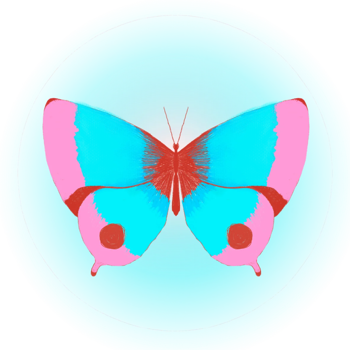 mariposa aura wg